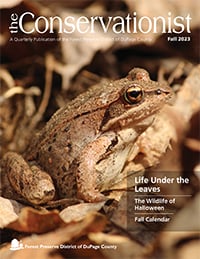 cover of fall 2023 Conservationist
